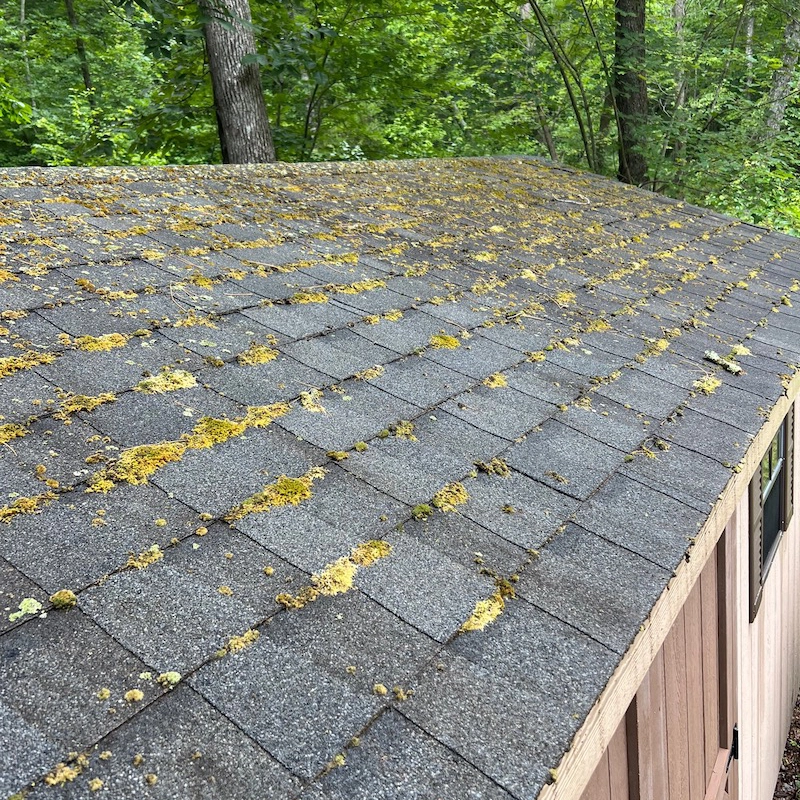 before-roof